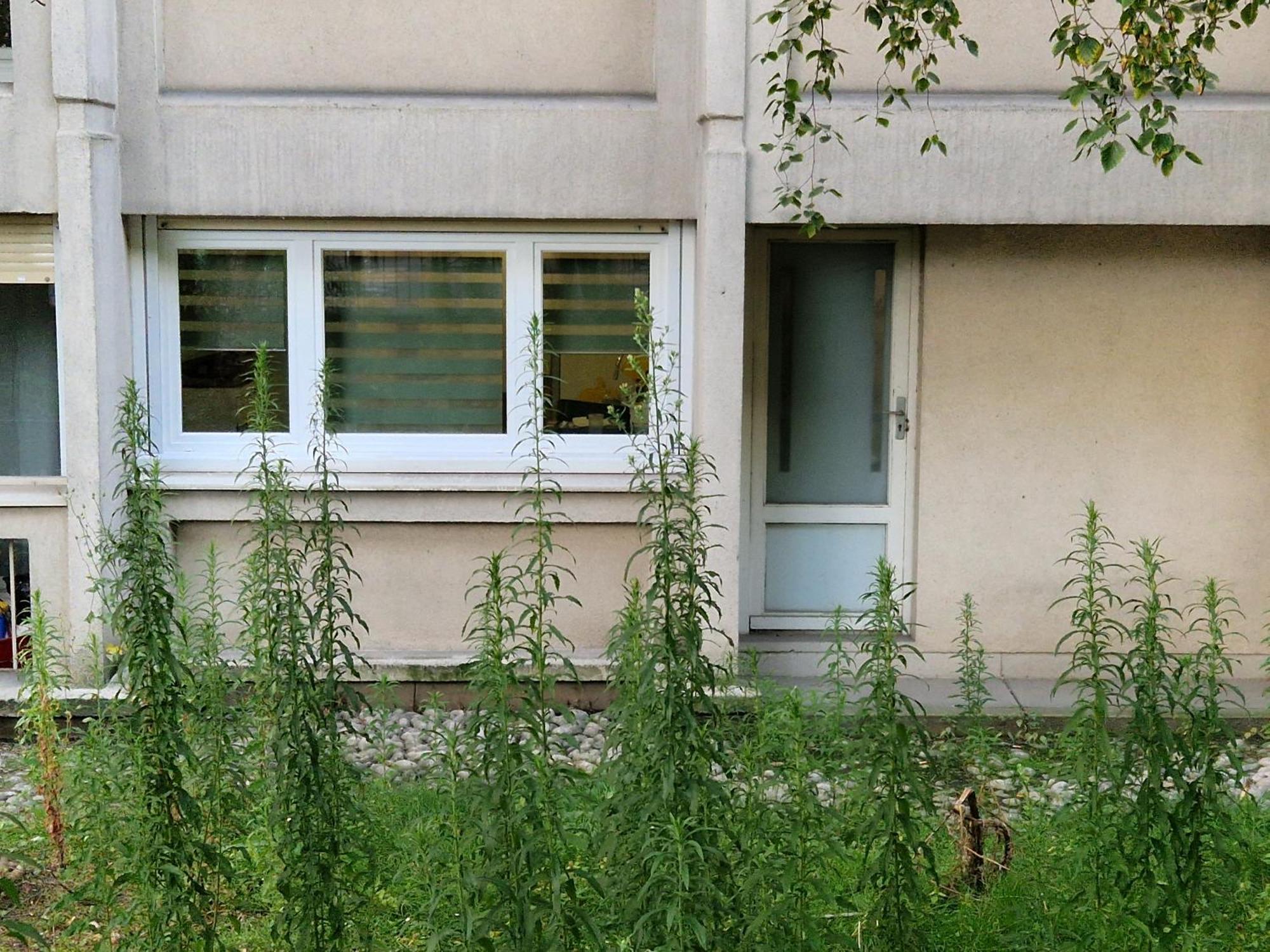 Comfortable Rooms For Working - Levallois المظهر الخارجي الصورة